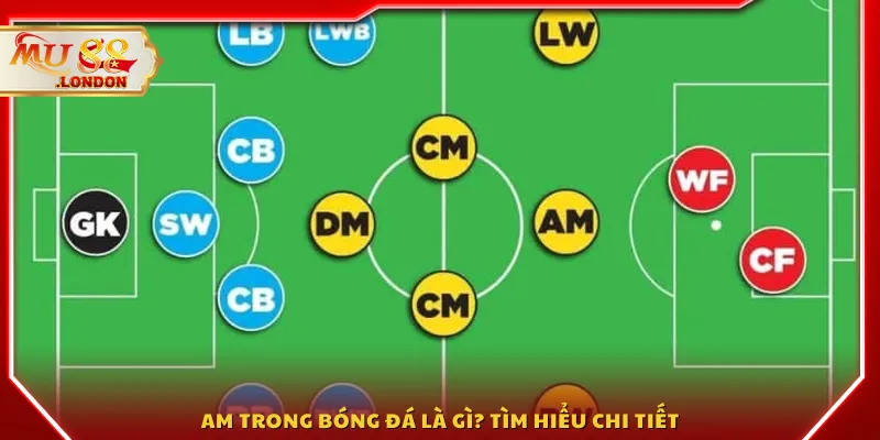 AM trong bóng đá là gì? Tìm hiểu chi tiết