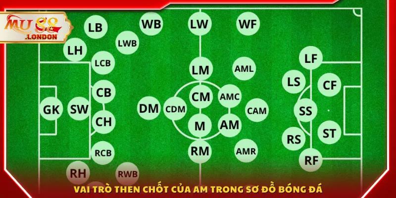 Vai trò then chốt của AM trong sơ đồ bóng đá