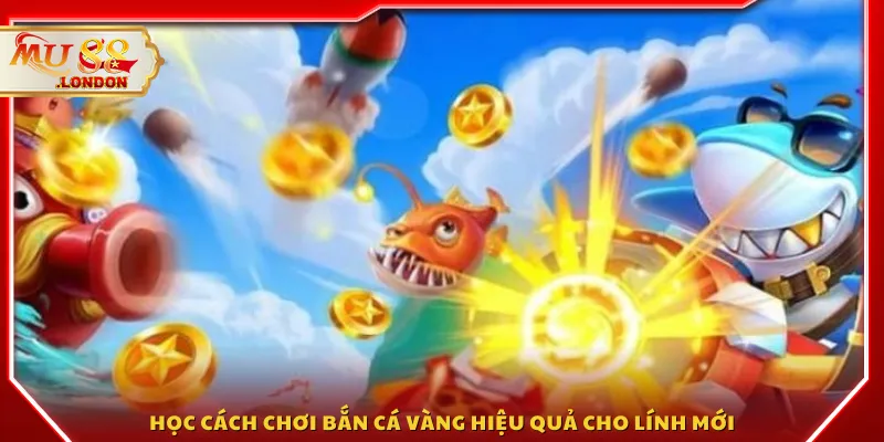 Học cách chơi Bắn cá vàng hiệu quả cho lính mới