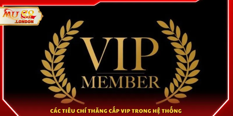 Các tiêu chí thăng cấp VIP trong hệ thống 