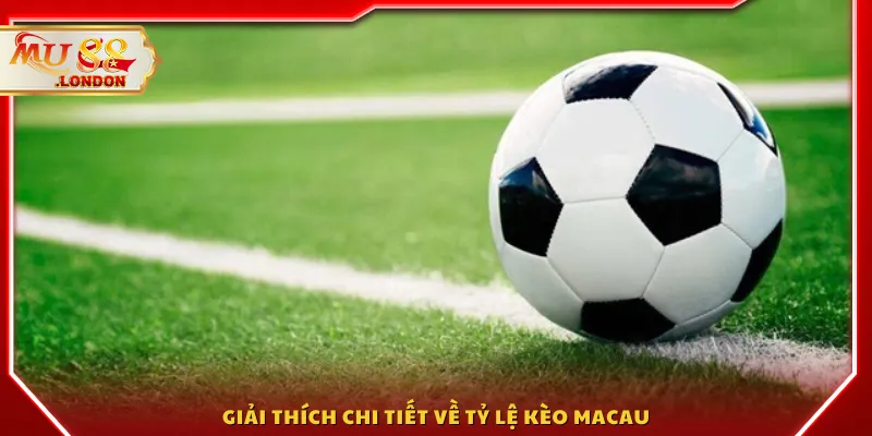 Giải thích chi tiết về tỷ lệ kèo Macau