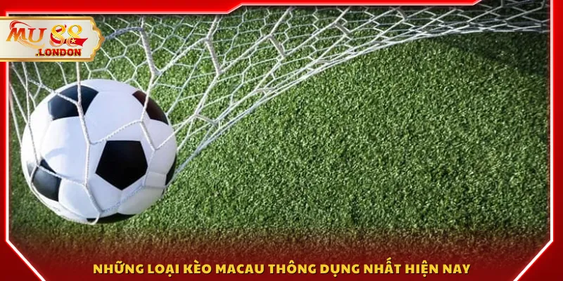 Những loại kèo Macau thông dụng nhất hiện nay