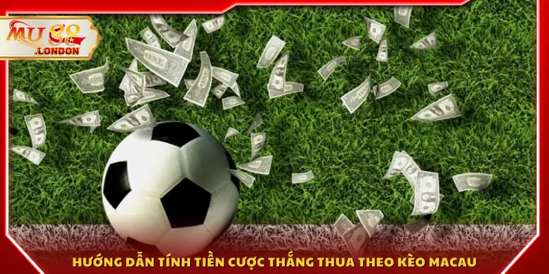 Hướng dẫn tính tiền cược thắng thua theo kèo Macau