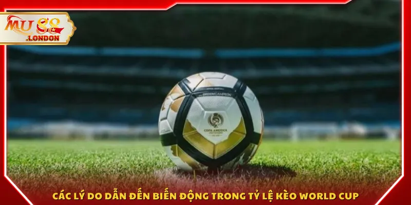 Các lý do dẫn đến biến động trong tỷ lệ kèo World Cup