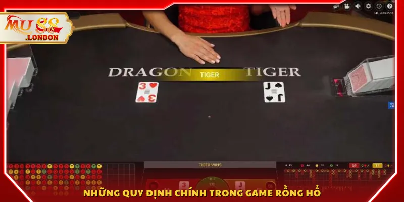 Những quy định chính trong game Rồng Hổ