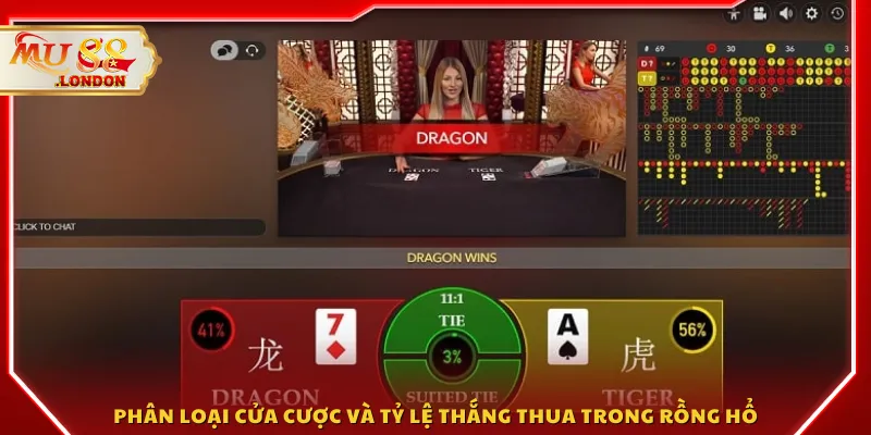 Phân loại cửa cược và tỷ lệ thắng thua trong Rồng Hổ