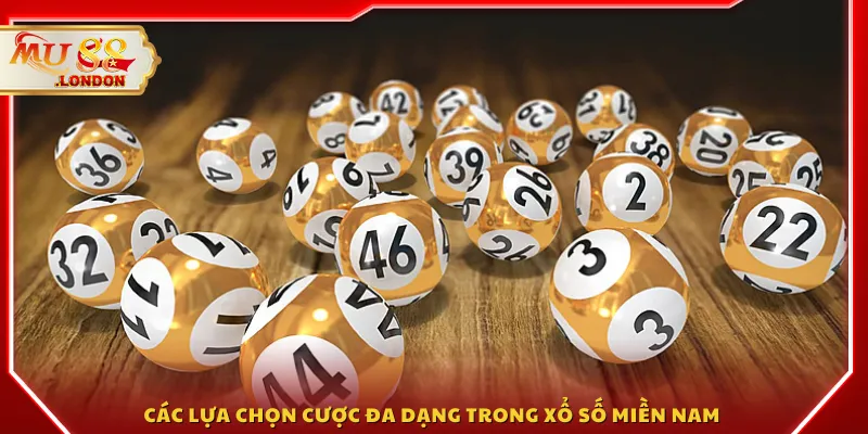 Các lựa chọn cược đa dạng trong xổ số miền Nam 